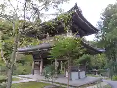 林泉寺(新潟県)