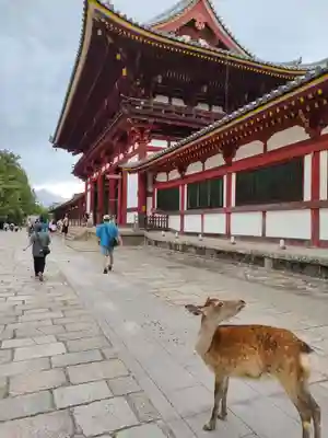 東大寺の山門・神門