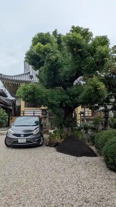 光永寺(大阪府)