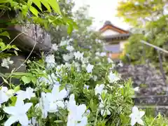 和神社の自然