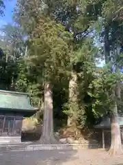 湯葉神社(岐阜県)