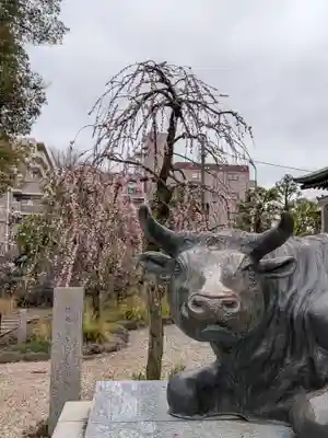 布多天神社(東京都)