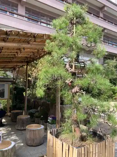 東京大神宮のその他建物