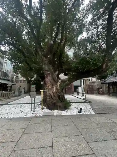 難波神社の{uncategorized: "未分類", other: "その他", undefined: "問題あり", building: "その他建物", grave: "お墓", sacred_gate: "鳥居", guardian: "狛犬", statue: "像", buddha: "仏像", history: "歴史", nature: "自然", garden: "庭園", animal: "動物", pagoda: "塔", temizu: "手水舎", mountain_gate: "山門・神門", sanctuary: "本殿・本堂", subordinate: "末社・摂社", art: "芸術", scenery: "景色", jizo: "地蔵", ema: "絵馬", goshuin: "御朱印", omikuji: "おみくじ", items: "授与品その他", amulet: "お守り", goshuincho: "御朱印帳", eats: "食事", festival: "お祭り", votive_dance: "神楽", shichigosan: "七五三参", wedding: "結婚式", experience: "体験その他", initially: "初詣", around: "周辺", anti_infection: "感染症対策"}