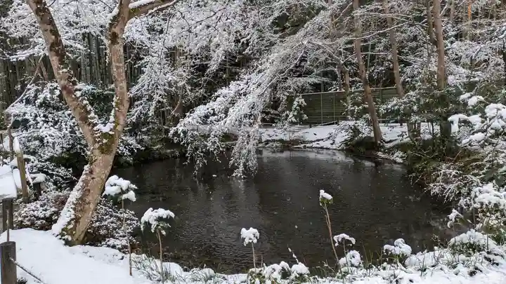 圓光寺(京都府)