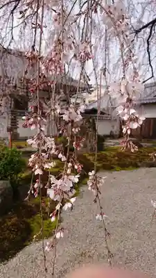 本満寺(本願満足寺)(京都府)