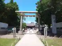 浅草神社の鳥居
