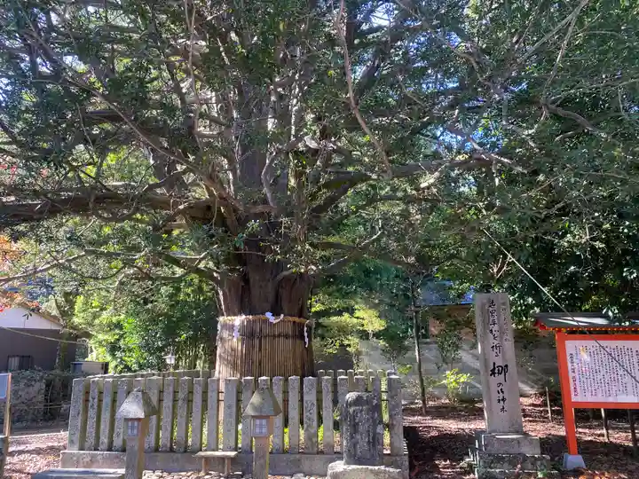 熊野速玉大社(和歌山県)