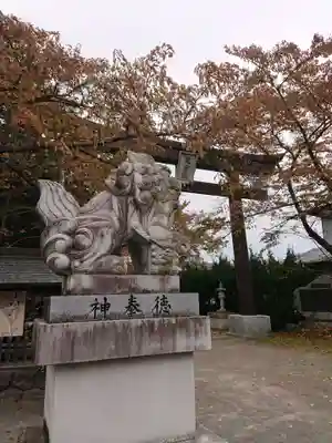 冨士御室浅間神社の狛犬