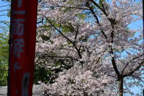 牟禮山観音禅寺の自然