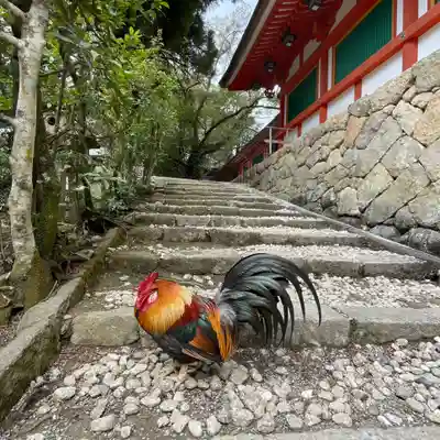 石上神宮(奈良県)