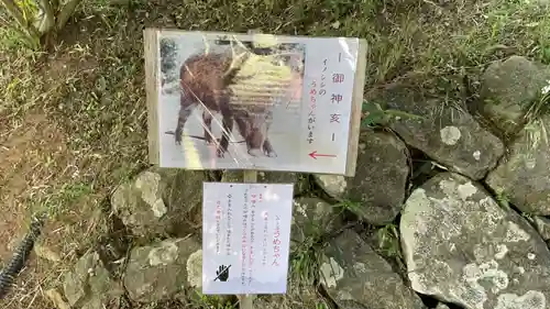 坪沼八幡神社(宮城県)