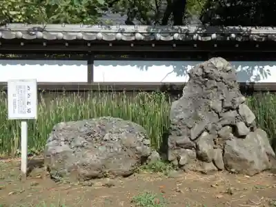 観音寺（世田谷山観音寺）の周辺
