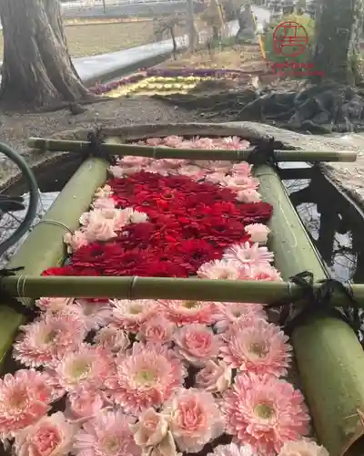 立志神社(滋賀県)