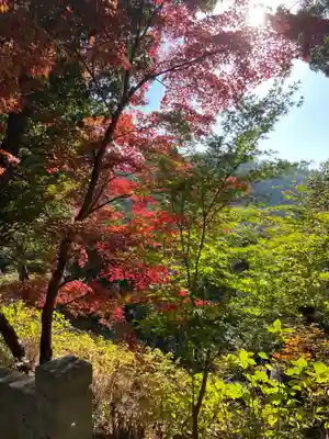 柳谷観音　楊谷寺(京都府)