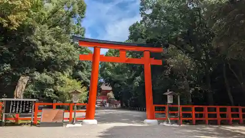 賀茂御祖神社（下鴨神社）の鳥居