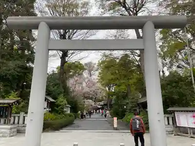 阿佐ヶ谷神明宮の鳥居