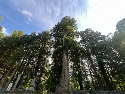 戸隠神社中社(長野県)