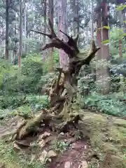 御岩神社の自然