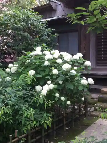 極楽寺（霊鷲山感應院極楽律寺）の自然