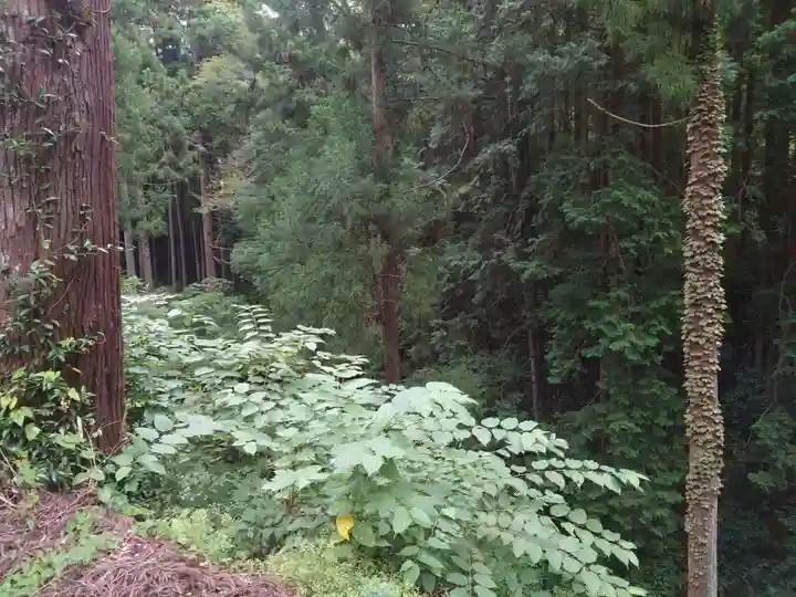 石楯尾神社の自然