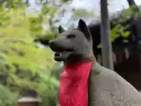 四合稲荷神社の{uncategorized: "未分類", other: "その他", undefined: "問題あり", building: "その他建物", grave: "お墓", sacred_gate: "鳥居", guardian: "狛犬", statue: "像", buddha: "仏像", history: "歴史", nature: "自然", garden: "庭園", animal: "動物", pagoda: "塔", temizu: "手水舎", mountain_gate: "山門・神門", sanctuary: "本殿・本堂", subordinate: "末社・摂社", art: "芸術", scenery: "景色", jizo: "地蔵", ema: "絵馬", goshuin: "御朱印", omikuji: "おみくじ", items: "授与品その他", amulet: "お守り", goshuincho: "御朱印帳", eats: "食事", festival: "お祭り", votive_dance: "神楽", shichigosan: "七五三参", wedding: "結婚式", experience: "体験その他", initially: "初詣", around: "周辺", anti_infection: "感染症対策"}