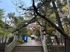 意富比神社(千葉県)