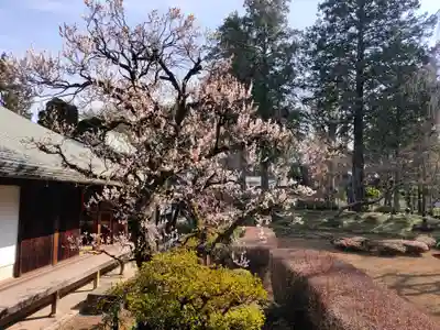 喜多院(埼玉県)