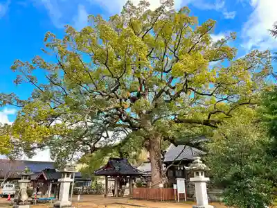岡崎八幡宮(山口県)