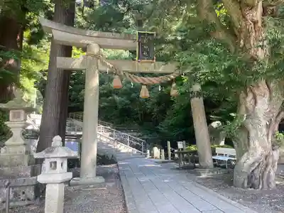 泉神社(滋賀県)