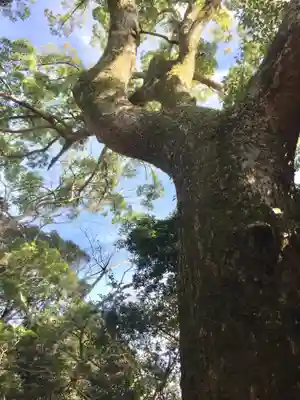 葭原神社(皇大神宮末社)の自然