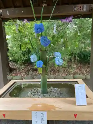 赤坂氷川神社の手水舎