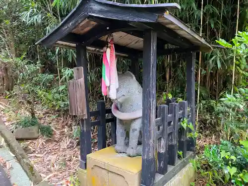 椙尾神社の狛犬