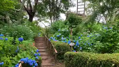 普門寺(岡山県)