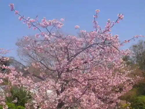 鶴岡八幡宮の自然