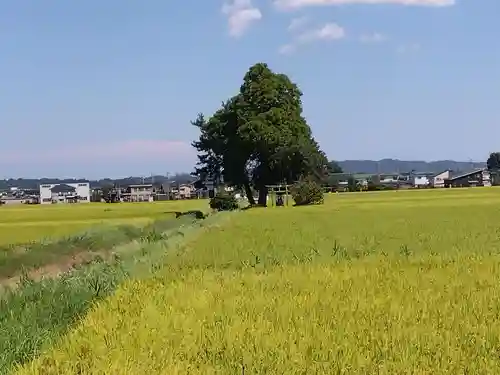 白鳥神社(富山県)