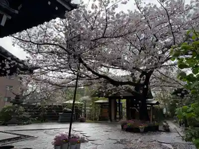 泥牛庵(神奈川県)