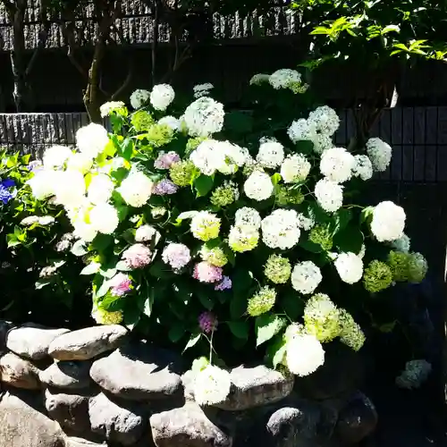 白山神社の庭園