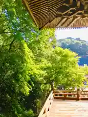 龍福寺の建物その他