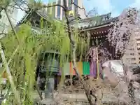 頂法寺(六角堂)(京都府)