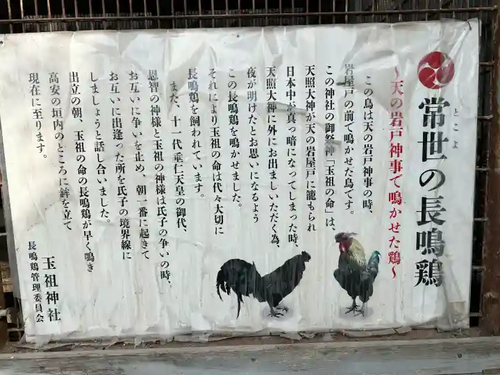 玉祖神社(大阪府)