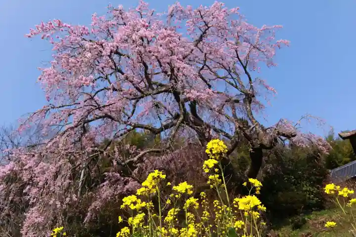 瑞雲寺(福島県)