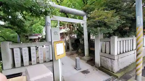 松戸神社の鳥居