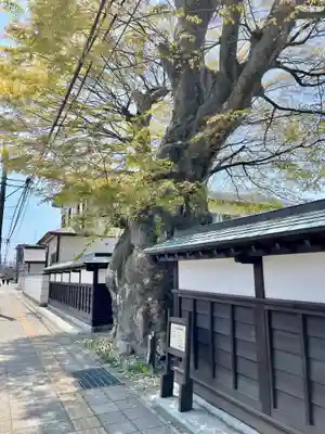 妙法寺(福島県)