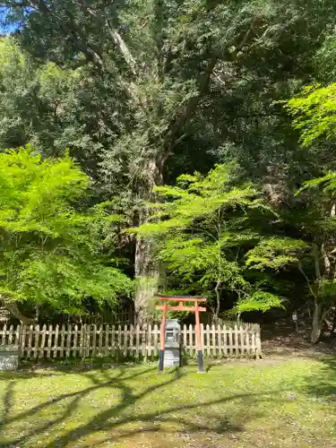 金剛院(京都府)