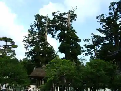 瑞巌寺(宮城県)