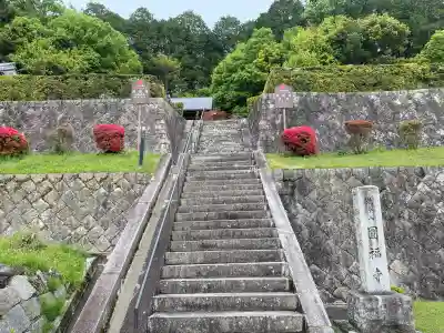 圓福寺の{uncategorized: "未分類", other: "その他", undefined: "問題あり", building: "その他建物", grave: "お墓", sacred_gate: "鳥居", guardian: "狛犬", statue: "像", buddha: "仏像", history: "歴史", nature: "自然", garden: "庭園", animal: "動物", pagoda: "塔", temizu: "手水舎", mountain_gate: "山門・神門", sanctuary: "本殿・本堂", subordinate: "末社・摂社", art: "芸術", scenery: "景色", jizo: "地蔵", ema: "絵馬", goshuin: "御朱印", omikuji: "おみくじ", items: "授与品その他", amulet: "お守り", goshuincho: "御朱印帳", eats: "食事", festival: "お祭り", votive_dance: "神楽", shichigosan: "七五三参", wedding: "結婚式", experience: "体験その他", initially: "初詣", around: "周辺", anti_infection: "感染症対策"}