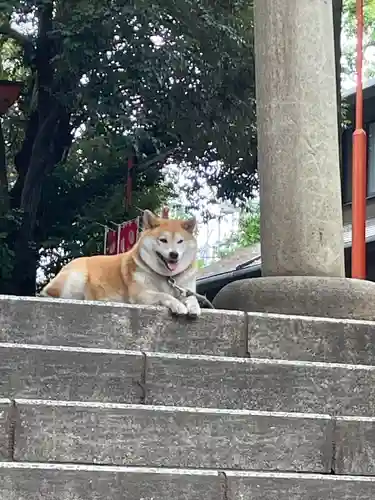 笠䅣稲荷神社(神奈川県)