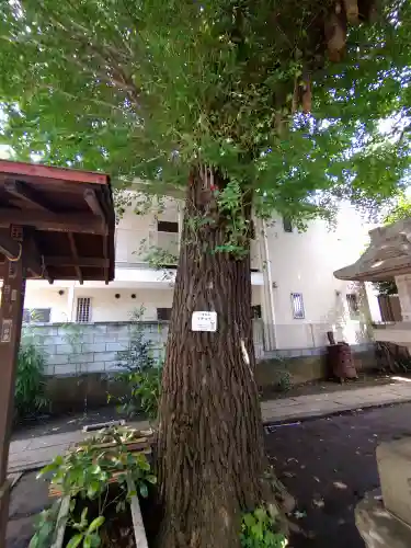 御嶽神社の自然