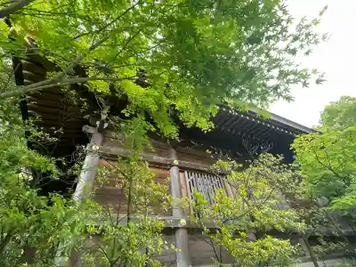 寒川神社の{uncategorized: "未分類", other: "その他", undefined: "問題あり", building: "その他建物", grave: "お墓", sacred_gate: "鳥居", guardian: "狛犬", statue: "像", buddha: "仏像", history: "歴史", nature: "自然", garden: "庭園", animal: "動物", pagoda: "塔", temizu: "手水舎", mountain_gate: "山門・神門", sanctuary: "本殿・本堂", subordinate: "末社・摂社", art: "芸術", scenery: "景色", jizo: "地蔵", ema: "絵馬", goshuin: "御朱印", omikuji: "おみくじ", items: "授与品その他", amulet: "お守り", goshuincho: "御朱印帳", eats: "食事", festival: "お祭り", votive_dance: "神楽", shichigosan: "七五三参", wedding: "結婚式", experience: "体験その他", initially: "初詣", around: "周辺", anti_infection: "感染症対策"}